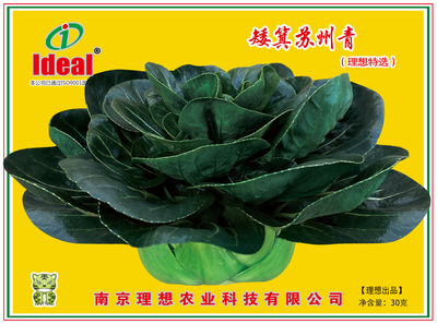 矮箕苏州青