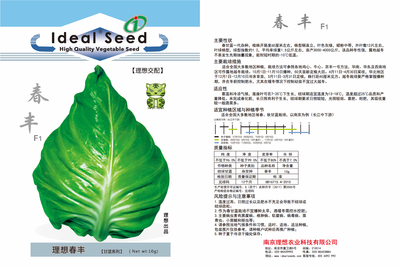 白春丰甘蓝