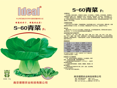 s-60大袋子
