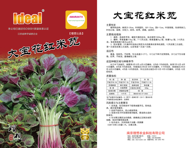 大宝花红米苋