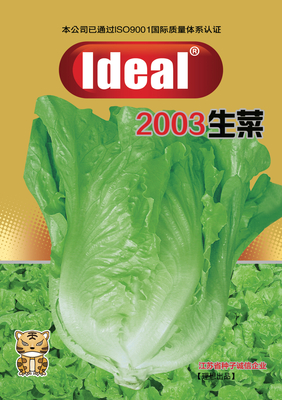 2003生菜