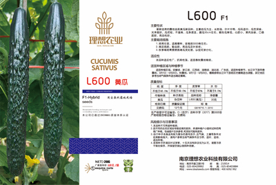 L600黃瓜